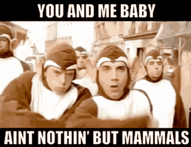 a group of men in monkey costumes with the caption you and me baby aint nothin but mammals