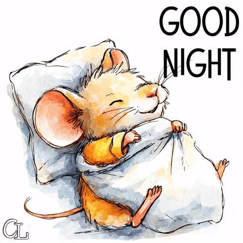 An illustrated mouse sleeps on a pillow beneath GOOD NIGHT text.