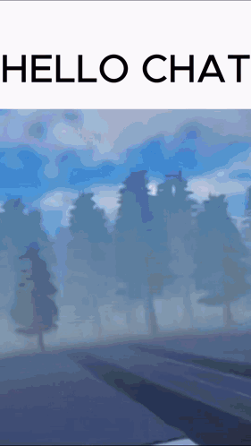 a picture of a foggy forest with the words hello chat on the top