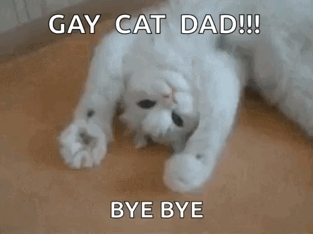 a white cat is laying on its back on the floor with the words `` gay cat dad ! ''
