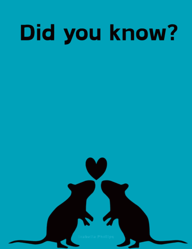 a poster that says " did you know rats are smart enough to think about thinking and can feel empathy " on it