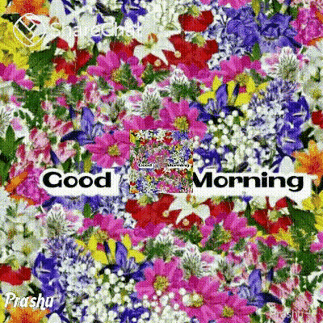a bunch of colorful flowers with the words good morning written on it