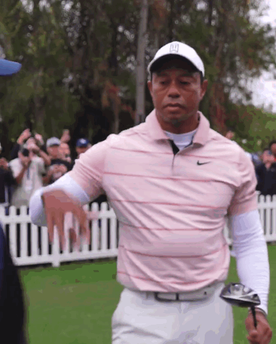 a man wearing a nike shirt and a tiger woods hat holds a golf club on a golf course
