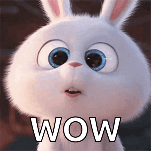 A fluffy white animated rabbit stares upward beneath “WOW.”