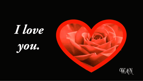 A red rose-filled heart sits beside the words “I love you.”