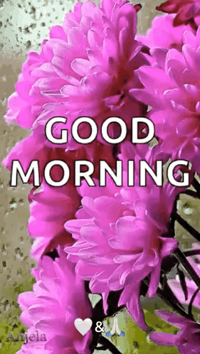 Purple flowers display a sparkling “GOOD MORNING” caption.