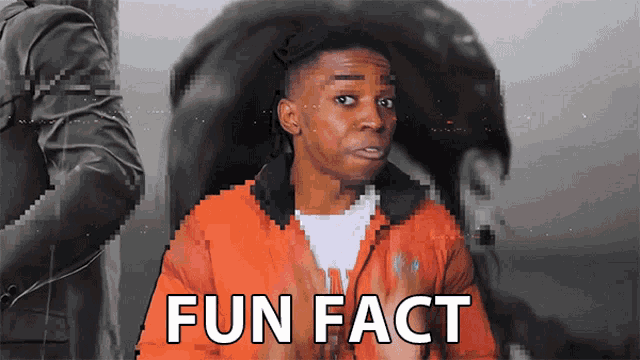 a pixelated image of a man with the words fun fact on the bottom