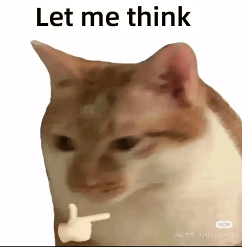 a cat with a hand pointing at it and the words let me think below it