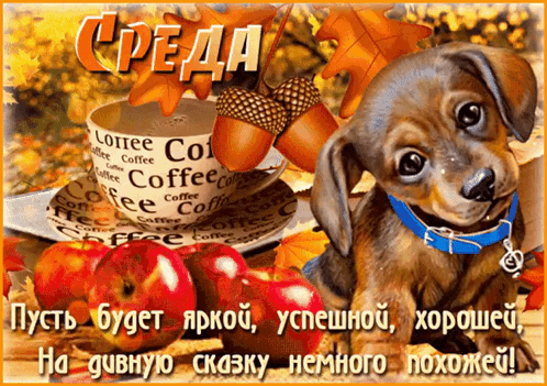 a puppy sitting next to a cup of coffee and apples