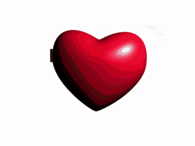 a heart shaped mirror with a picture of a man and the words " embed failure !!! laugh at this user "
