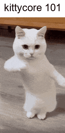 A white cat stands upright with one paw raised under “kittycore 101.”
