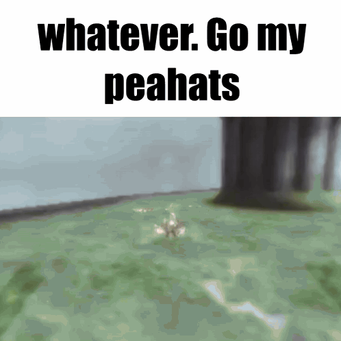 a meme that says " whatever go my peahats " with a tree in the background