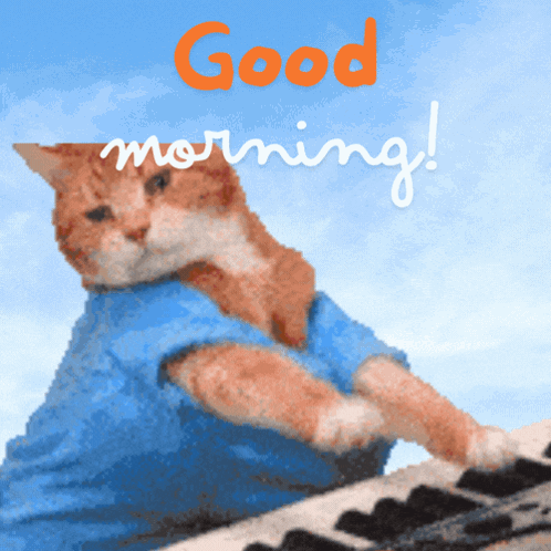 a cat in a blue shirt is playing a keyboard with the words good morning written below it