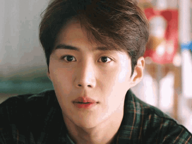 a close up of a young man 's face with a plaid shirt