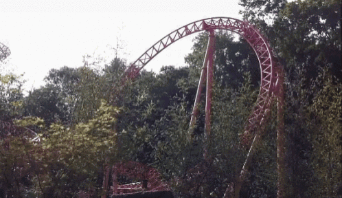 a roller coaster is going through a forest