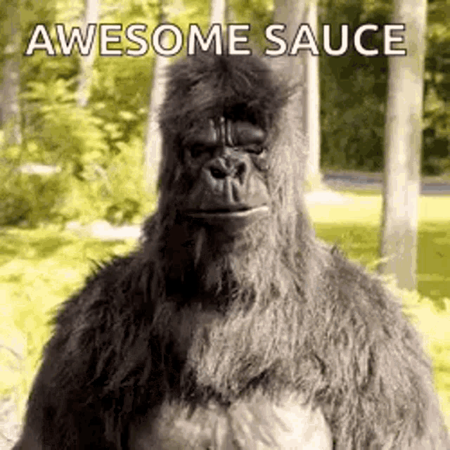 A gorilla poses outdoors under the caption “AWESOME SAUCE.”