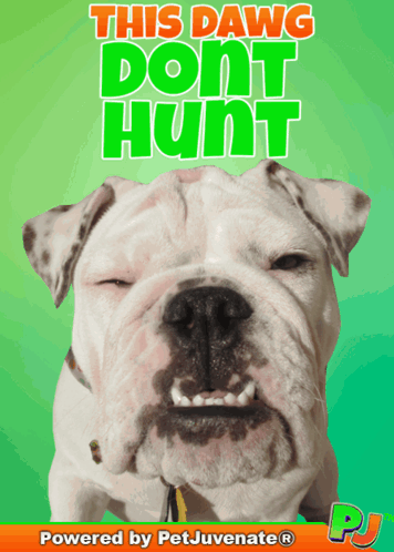 a poster of a dog with the words " this dawg dont hunt " on it