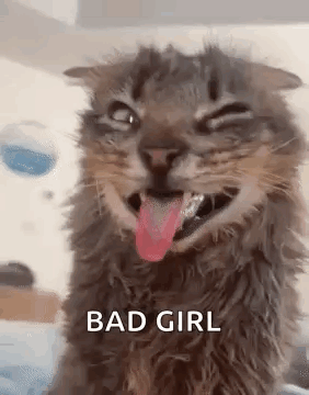 A fluffy gray cat opens its mouth in a goofy expression with “BAD GIRL” text.
