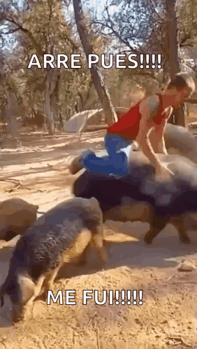 a man is riding on the back of a pig with a caption that says arre pues !!! me fui !!!