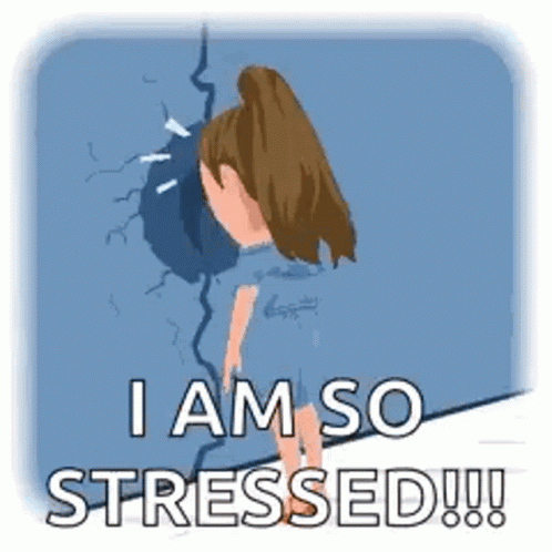 A cartoon woman presses into a blue wall, captioned “I AM SO STRESSED!!!”.