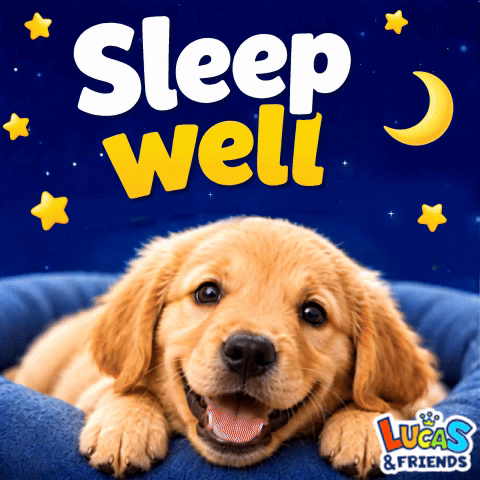 A smiling golden puppy rests on a blue cushion under “Sleep well.”