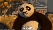 Po from Kung Fu Panda looks uneasy while the caption reads “OUCH.....”