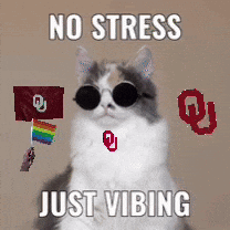 A cat wearing sunglasses sits beneath “NO STRESS JUST VIBING.”