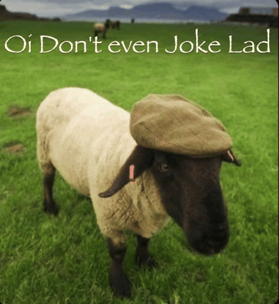 a picture of a sheep wearing a hat with the words " oi don 't even joke lad " below it