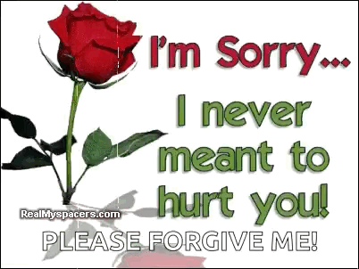 A red rose accompanies the message “I’m Sorry… I never meant to hurt you!”