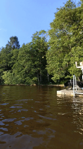 a person is jumping into a lake with a dog on a dock