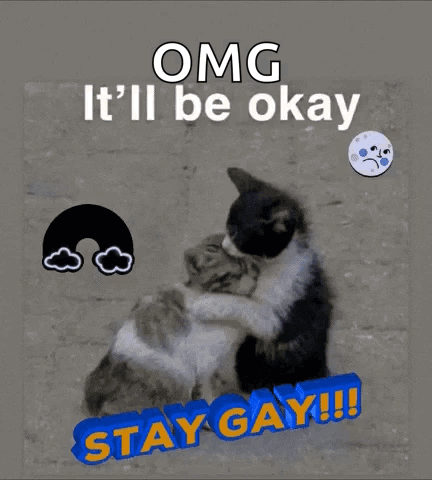 A fluffy black-and-white cat rests on pavement under “OMG It’ll be okay.”