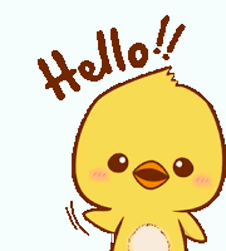 A kangaroo faces the camera beside “HELLO THERE” and “How are you??”