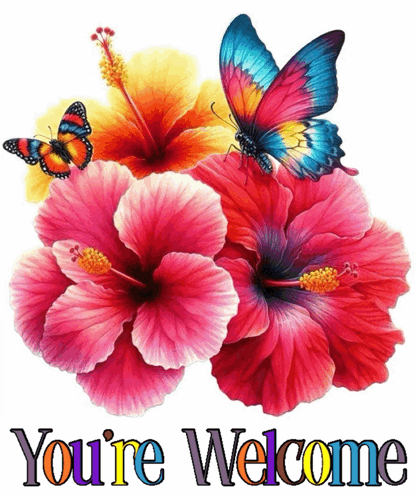 A bright cluster of hibiscus flowers and butterflies appears on a white background.
