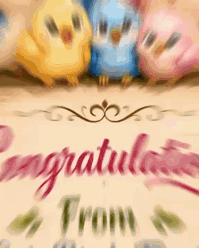 a congratulations card with birds and the words congratulations from cute words family