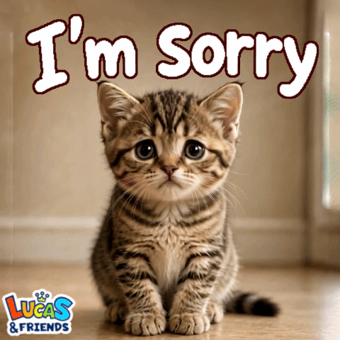 A kitten sits beneath the caption “I’m Sorry.”
