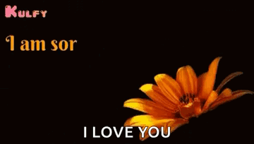 a flower with the words i am sorry for my mistakes i love you