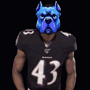 a man wearing a ravens jersey with a blue dog mask on his head