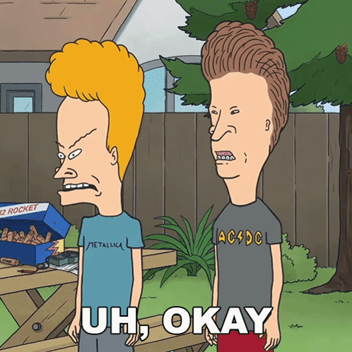 Beavis and Butt-Head stand outdoors with the caption “UH, OKAY.”