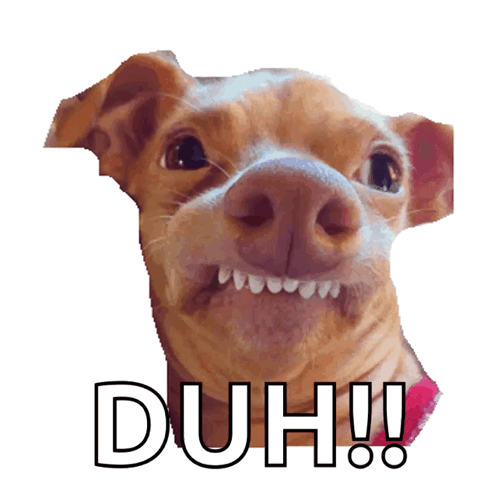 A smiling dog cutout on white is captioned “DUH!!”.