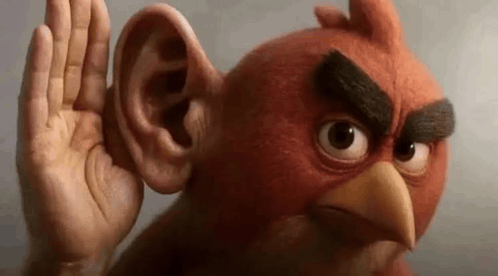 an angry bird with a large ear is listening to something with its hand .