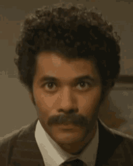 a man with curly hair and a mustache wearing a suit and tie .