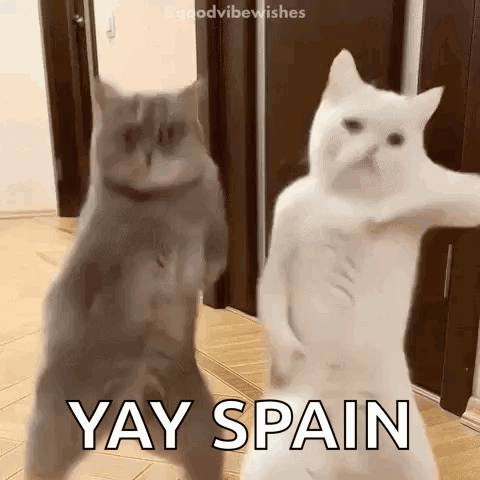 Two cats stand upright dancing together, captioned “YAY SPAIN.”
