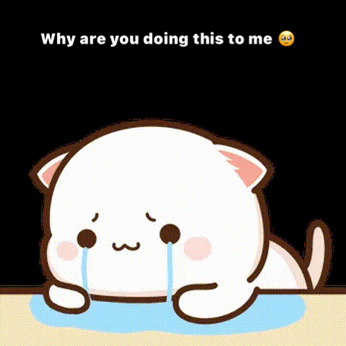 A crying cartoon cat sits in a puddle beneath “Why are you doing this to me.”