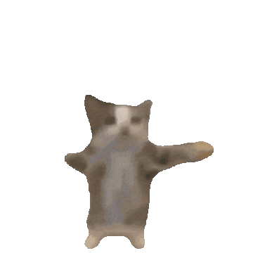 A blurry gray cat stands upright with its paws spread.