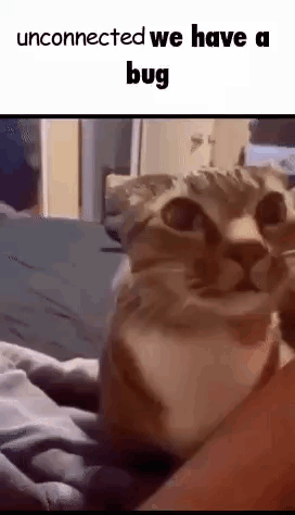 a cat is laying on a bed with a person 's hand .