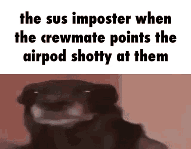 a picture of a dog with the words the sus imposter when the crewmate points the airpod shotty at them