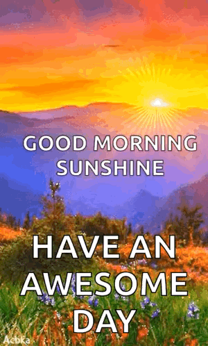 A sunrise landscape reads “Good morning sunshine, have an awesome day.”