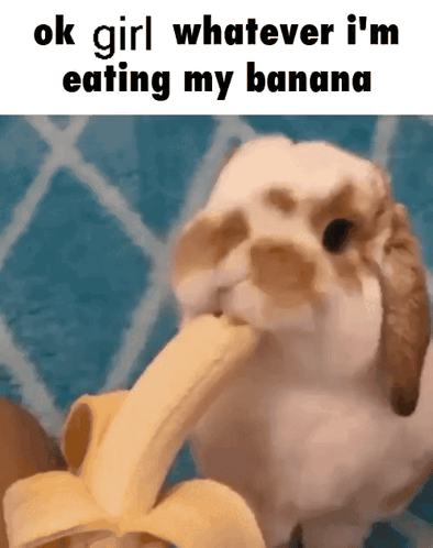 Small bunny eats a banana under a humorous caption.