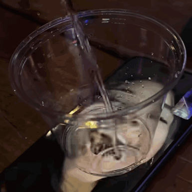 a cup of water is being poured into a cellphone