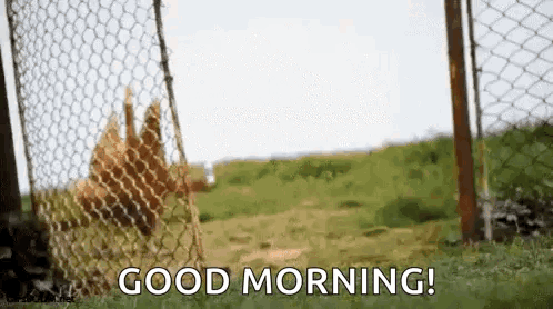 A view through an open gate toward a field says “GOOD MORNING!”